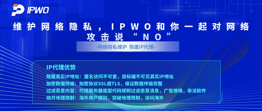 維護(hù)網(wǎng)絡(luò)隱私,代理ip官網(wǎng),全球ip代理,海外代理ip排行榜,好的國外ip代理,海外住宅ip哪里買,怎樣獲取美國住宅ip