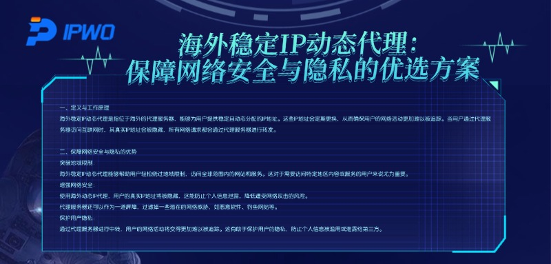 海外穩(wěn)定IP動態(tài)代理：保障網(wǎng)絡(luò)安全與隱私的優(yōu)選方案